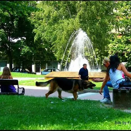 Relax University *